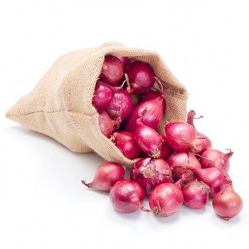 ONION SMALL PRE PACK 4KG
