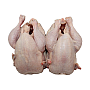 2 BABY CHICKEN
