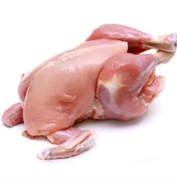 BABY CHICKEN