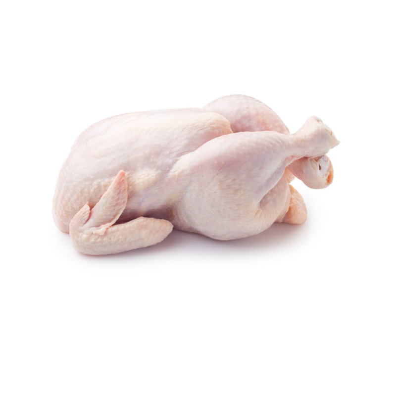 MEDIUM CHICKEN