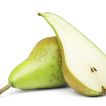 CONFERENCE PEAR