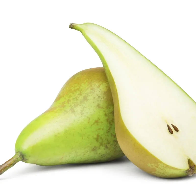 CONFERENCE PEAR