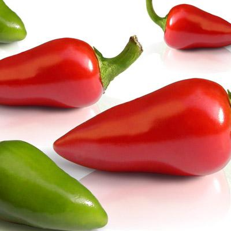 BULLET CHILLI