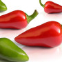 BULLET CHILLI
