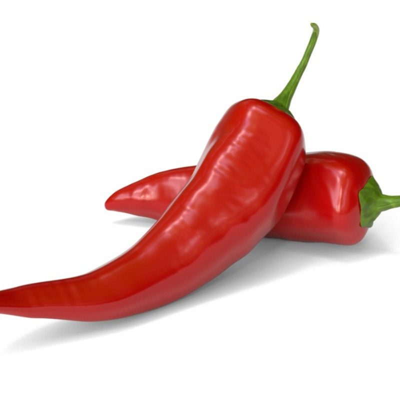 CHILLI PEPPER HOT