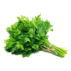 PARSLEY