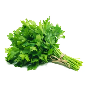 PARSLEY