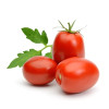 PLUM TOMATO