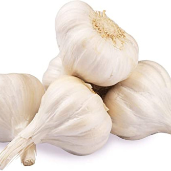 GARLIC LOOSE