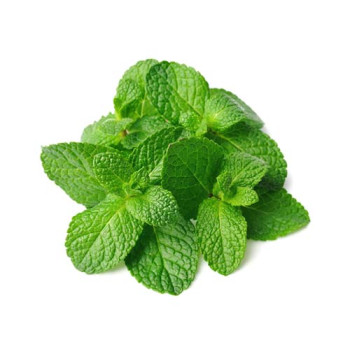 MINT EACH