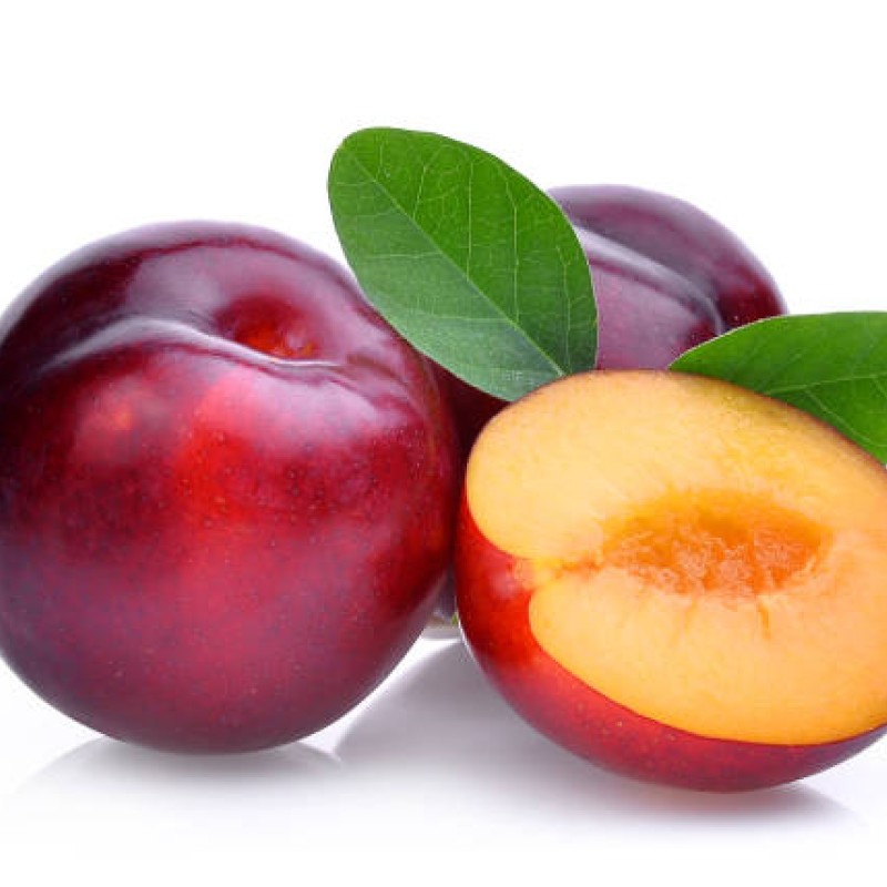 RED PLUM