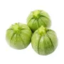 FRESH TINDA