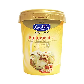 BUTTER SCOTCH ICE CREAM  450ML