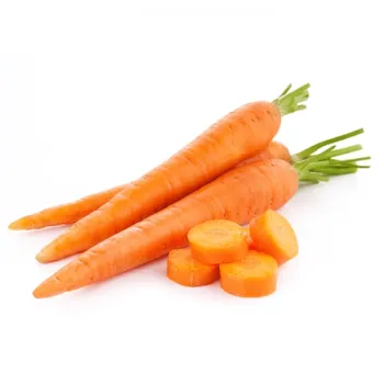 CARROT