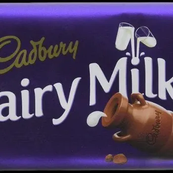 CADBURY DAIRY MILK 95G