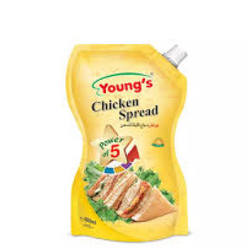 YOUNG'S CHICKEN SPREAD 500ML