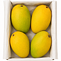 Chaunsa Mango Boxes 