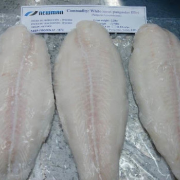 DEALICIO FROZEN PANGASIUS FILLET