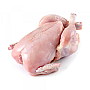 3 BABY CHICKEN